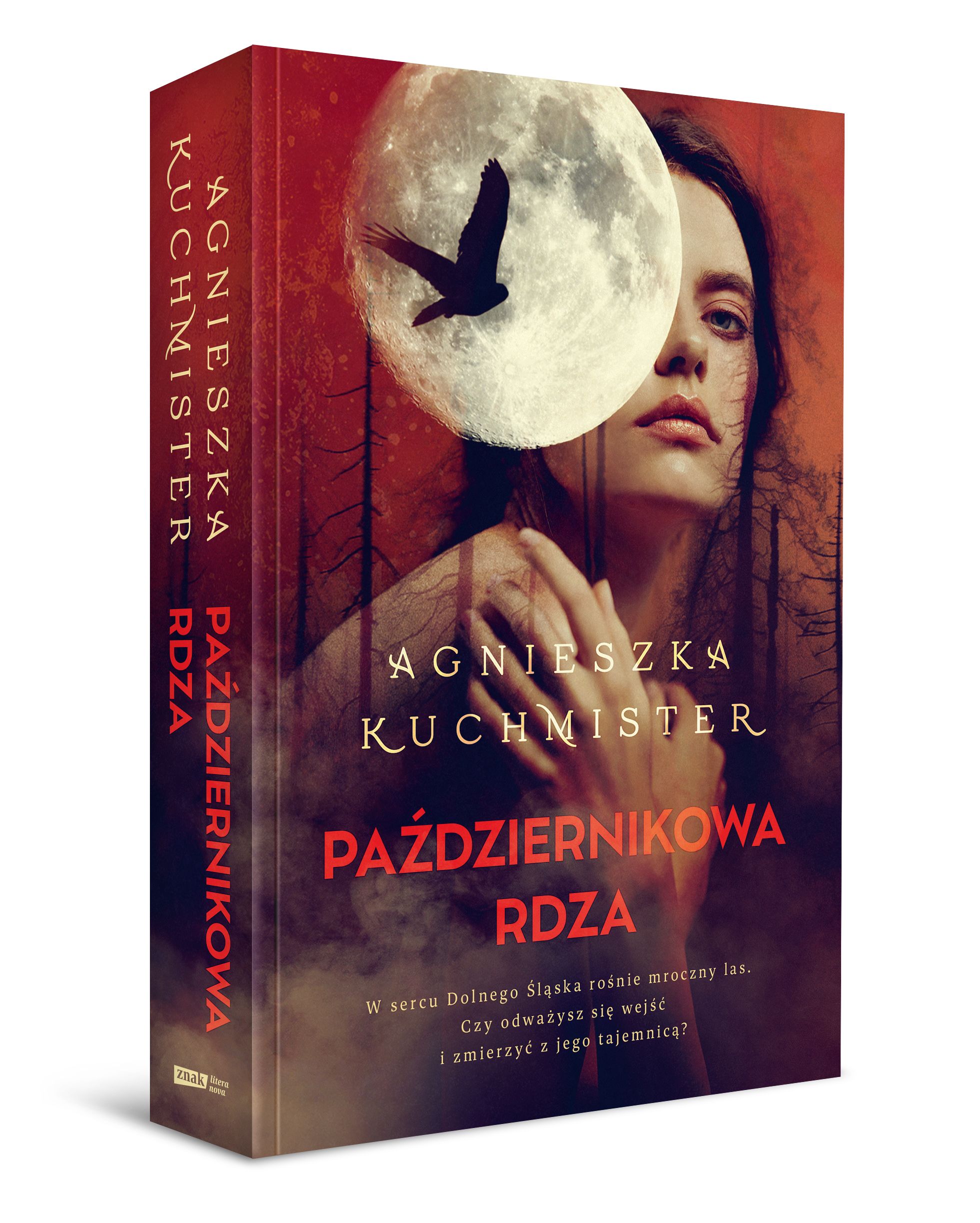 Więcej niż kryminał…